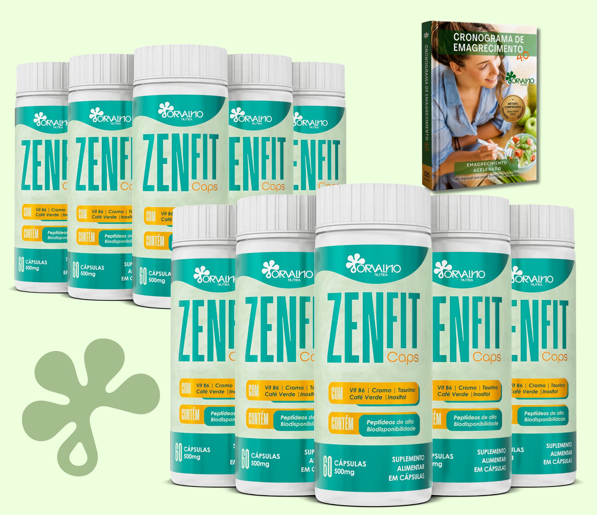 Kit 10 frascos de ZenFIT Caps com ebook